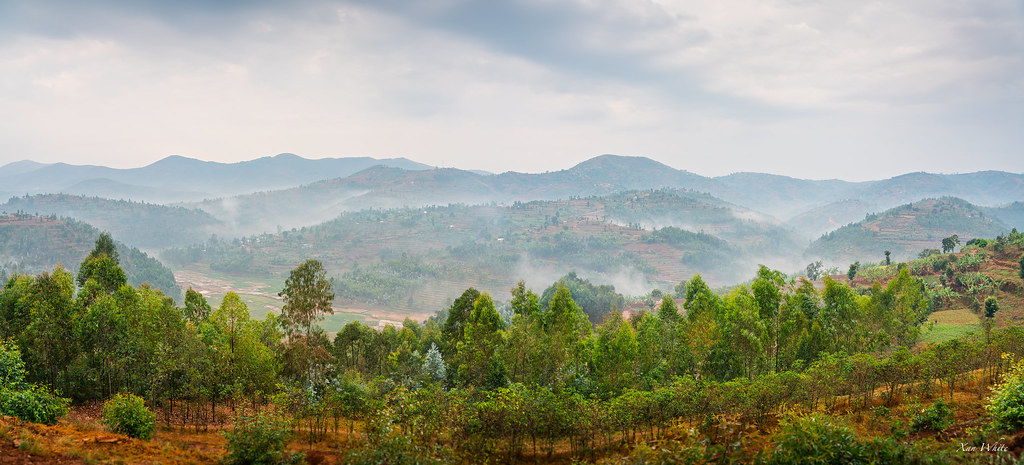 Interesting Facts About Nyungwe Forest National Park