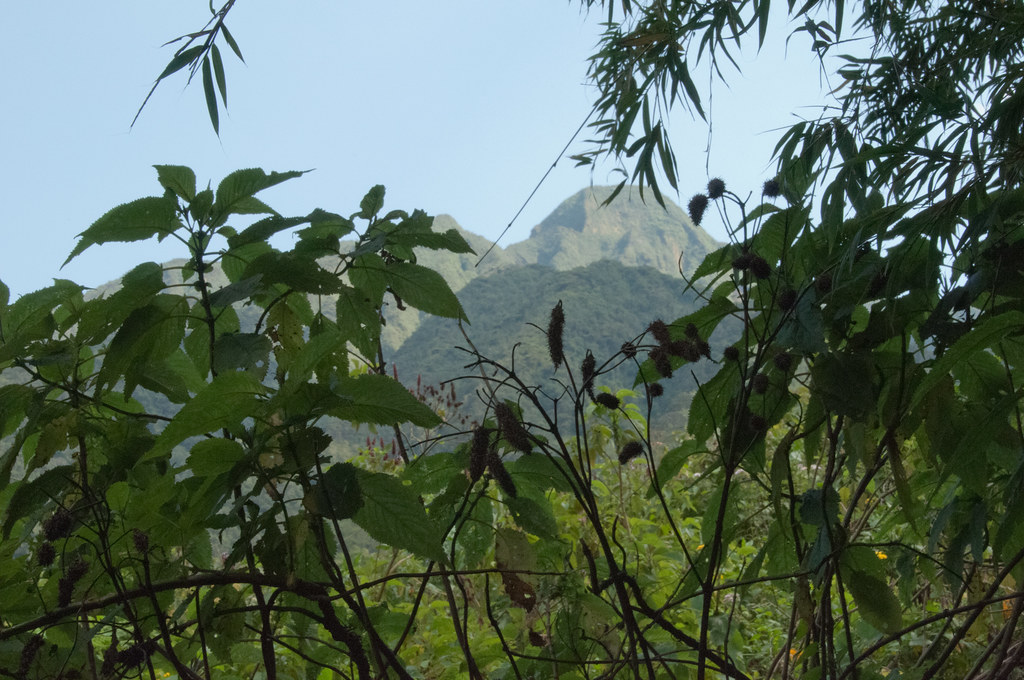 Mountain Sabyinyo Hiking Tours