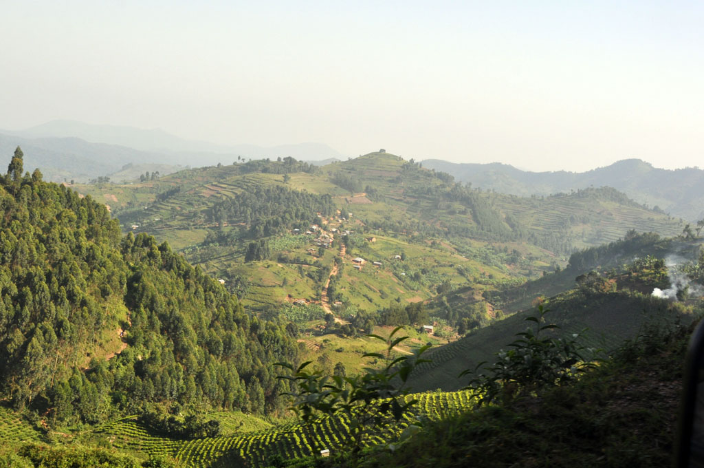 Kigezi Highlands