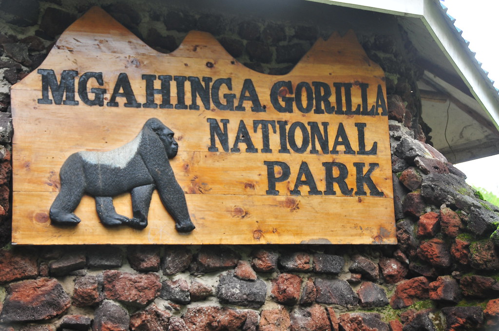 Reasons To Visit Mgahinga National Park