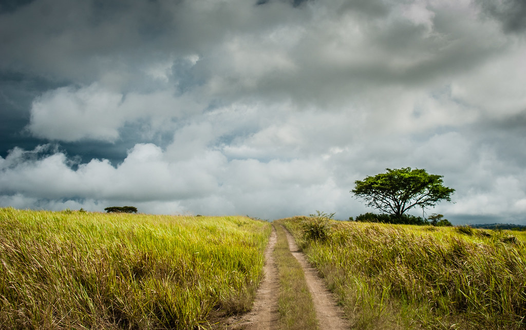 Best Bucket List Things You Can Complete in Africa