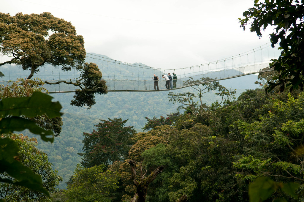Canopy Walk Rwanda Tours