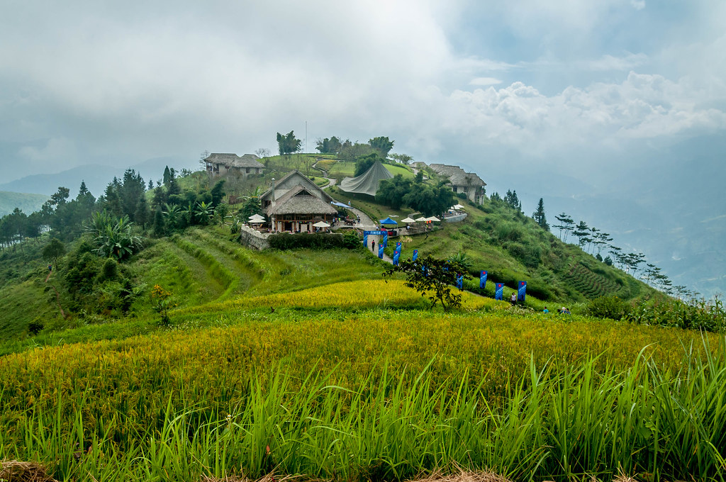 Gorilla Hills Eco Lodge