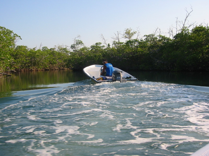 Tips for Planning a Last-Minute Spring Vacation