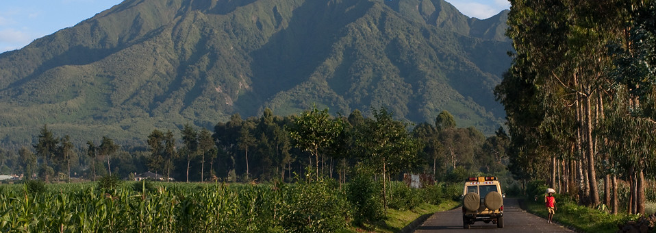 Best Tour Companies in Tanzania, Uganda, Rwanda, Kenya, and Burundi