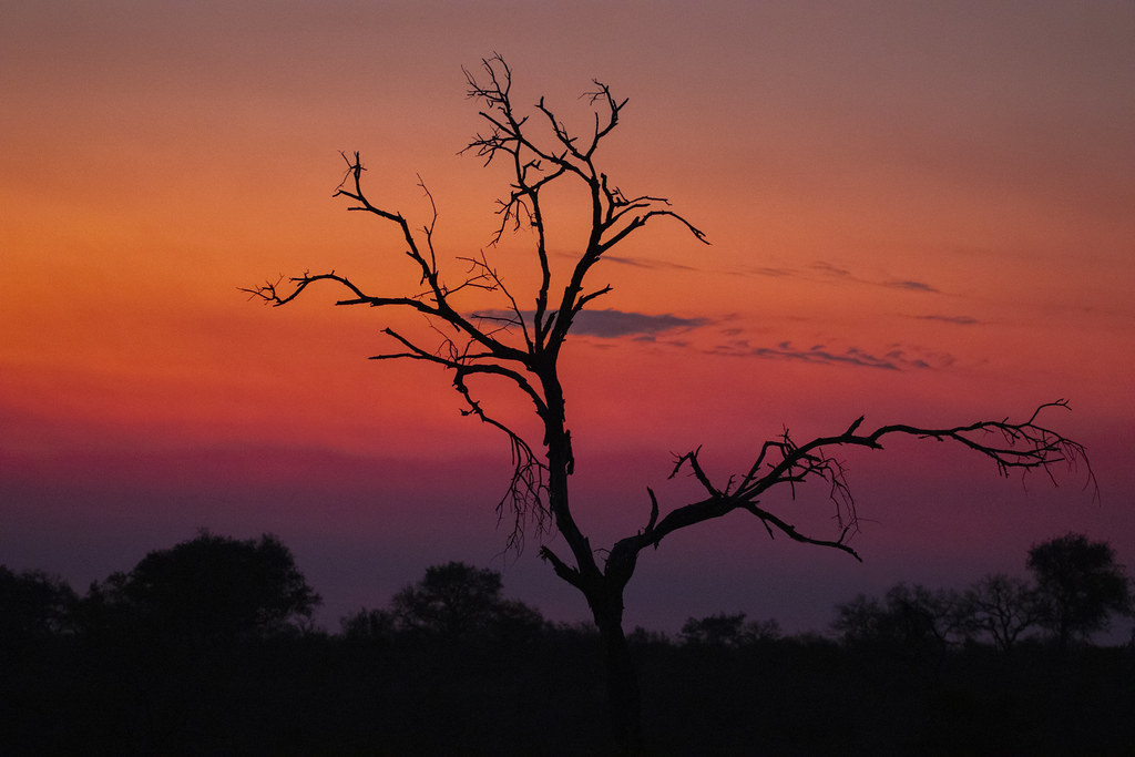 The Best Time to Go on an East African Honeymoon