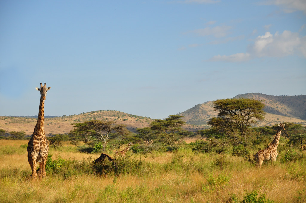 Where to Go in Africa on a Photographic Safari