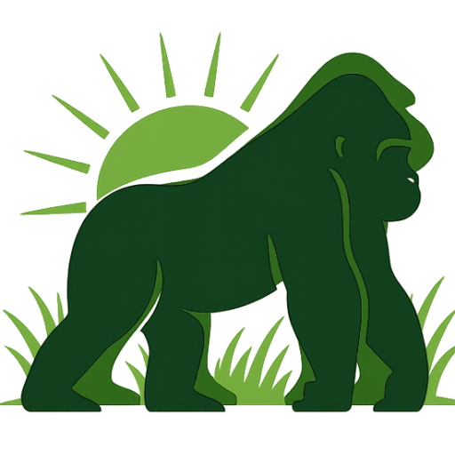 Types Of Gorillas Gorilla Safaris Tours