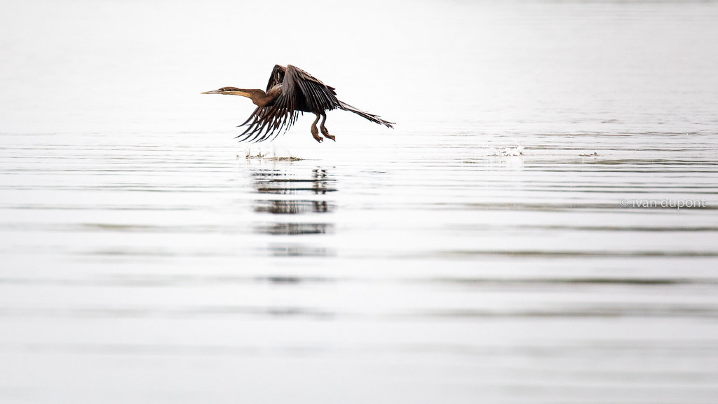 Akagera National Park – Rwanda’s Remarkable Savannah Wilderness