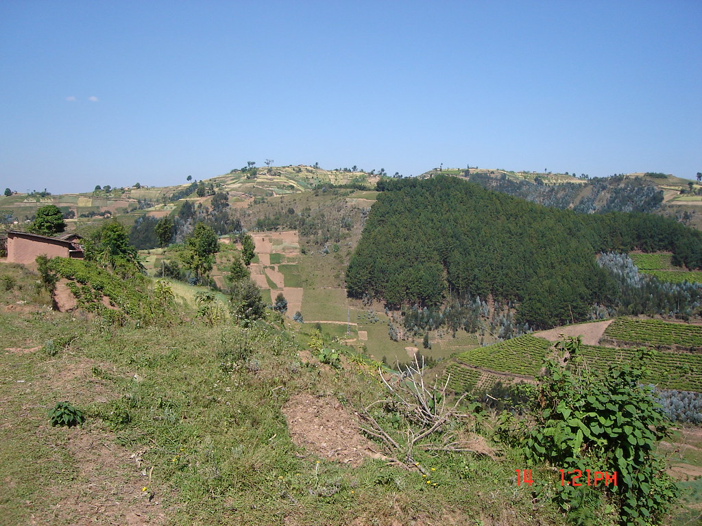 Katonga Wildlife Reserve — Uganda’s Hidden Wetland Paradise