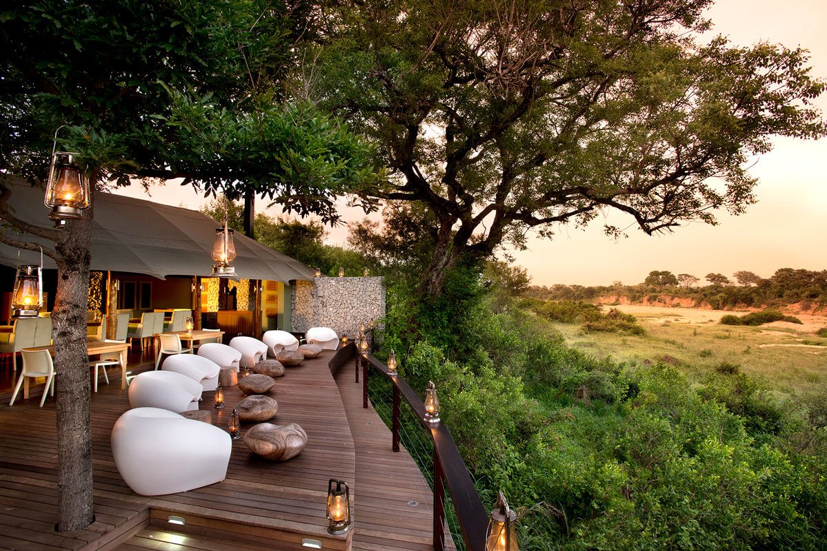 Luxury Safaris in Africa: Where Wilderness Meets Elegance