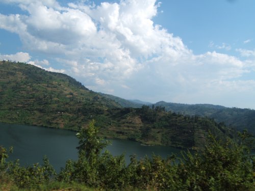 Best Safari in Africa | Top Destinations for First-Timers