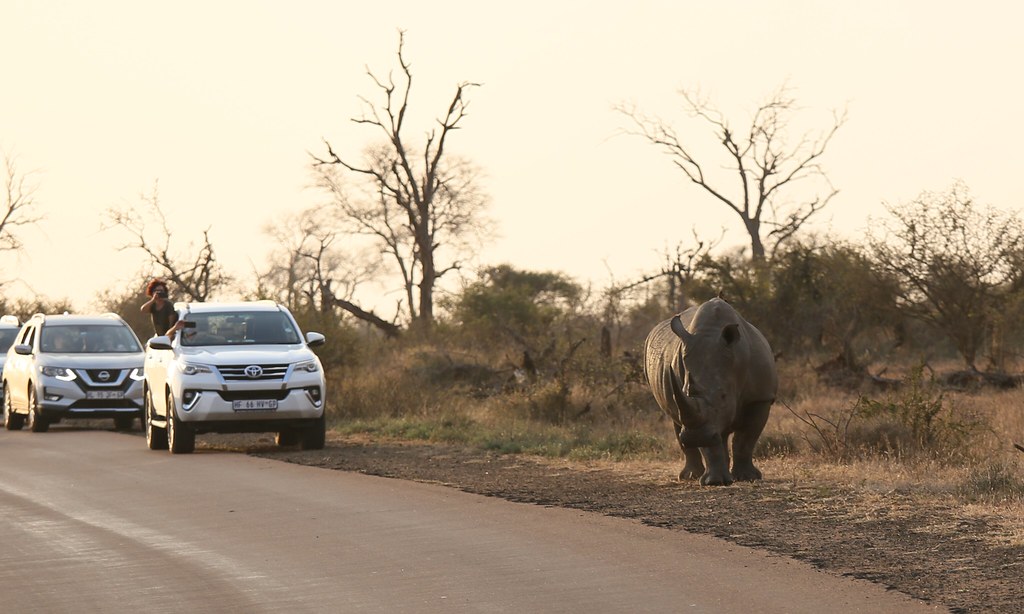 Is Uganda Safe and Politically Stable for Safaris?