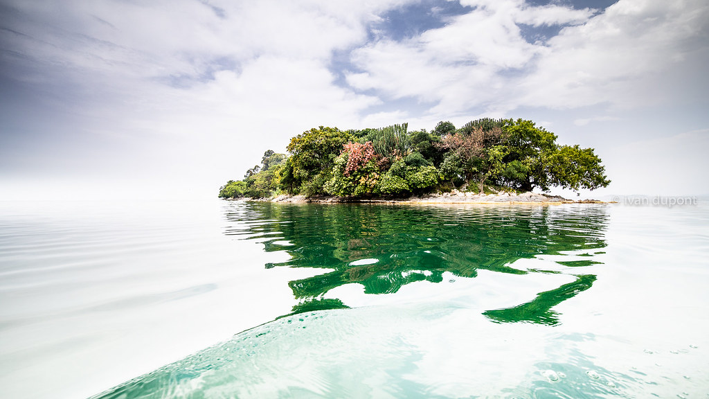 Rwanda Tourism Packages – Affordable Vacations 2025