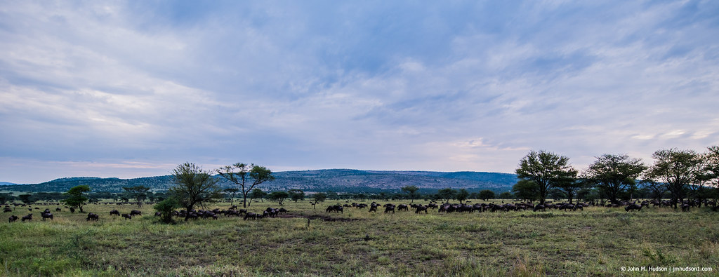 Central Serengeti & Seronera Valley – The Beating Heart of Tanzania’s Wildlife