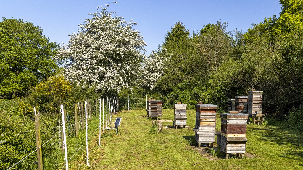 Agro Tourism in Uganda – Discovering the Fertile Soul of the Pearl of Africa