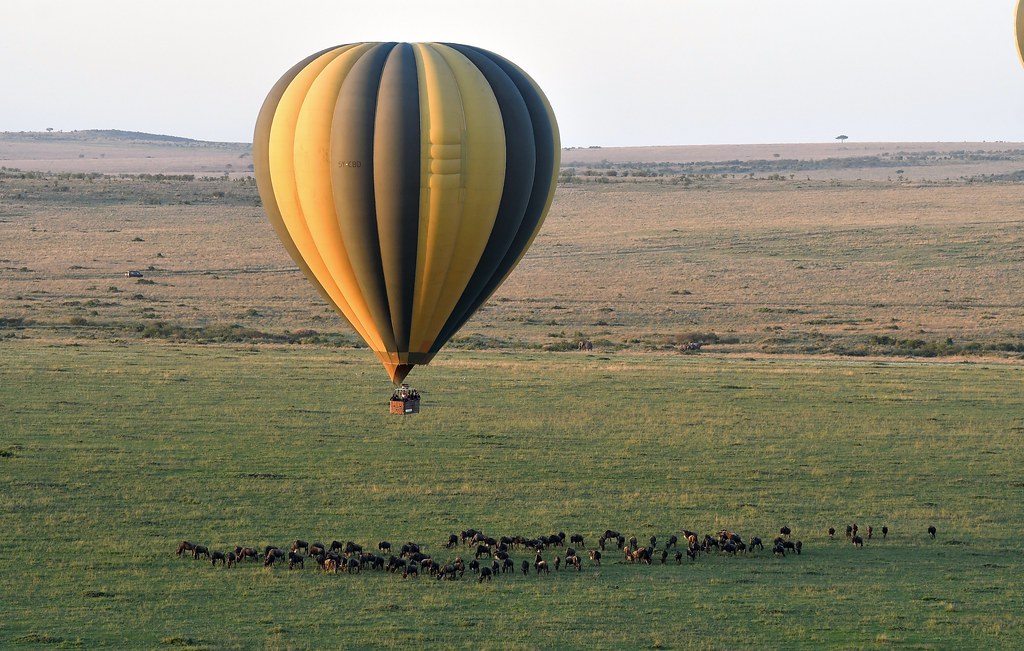 Top 5 Things to Do in Masai Mara National Reserve – Kenya’s Ultimate Safari Experience