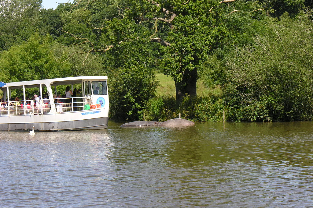 Top 10 Uganda Safari Activities Suitable for Family Trips