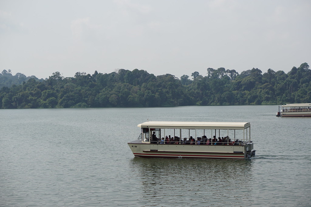 What to Expect on Safari in Uganda