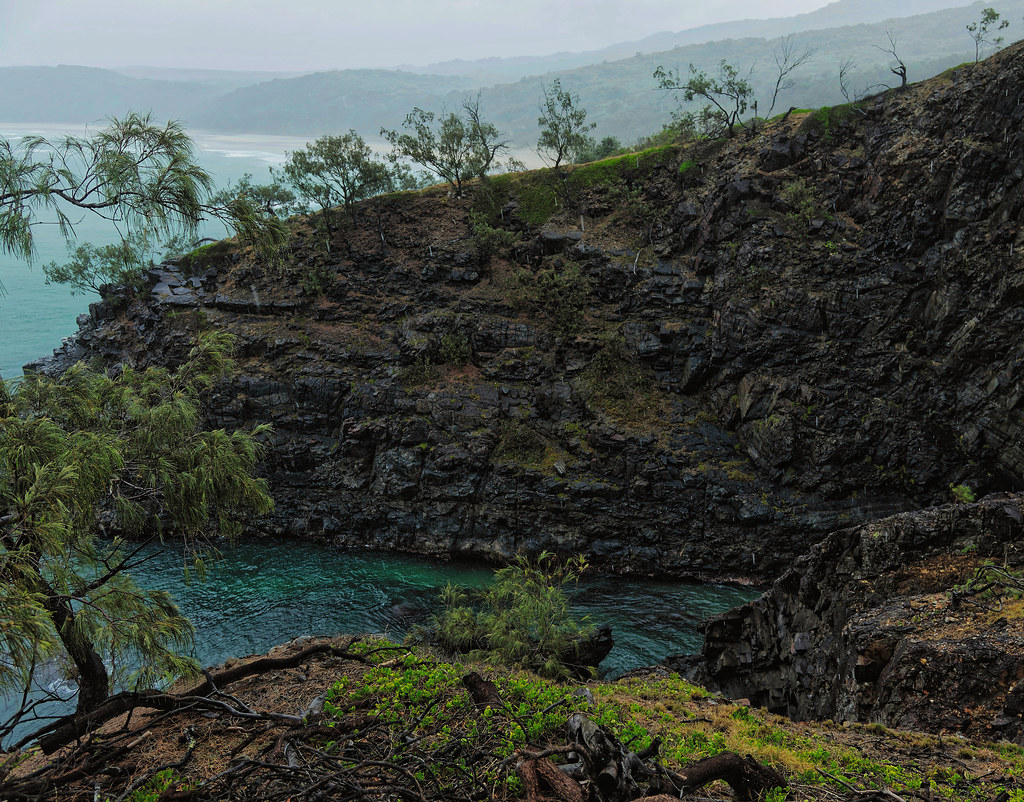 Budget and Affordable Safaris in Kenya – Experience the Wild Without Breaking the Bank