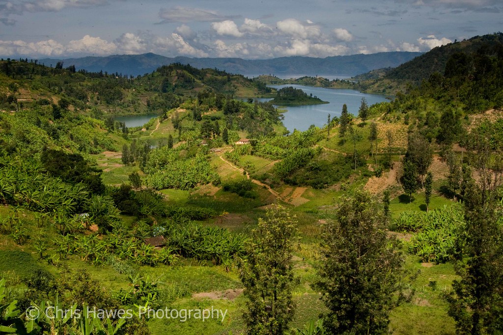 Best Tourist Destinations in Rwanda – Gorillas, Volcanoes, and Lakes
