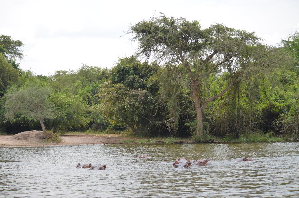 Uganda’s Best Wildlife Parks – Places to Visit in Uganda 2025