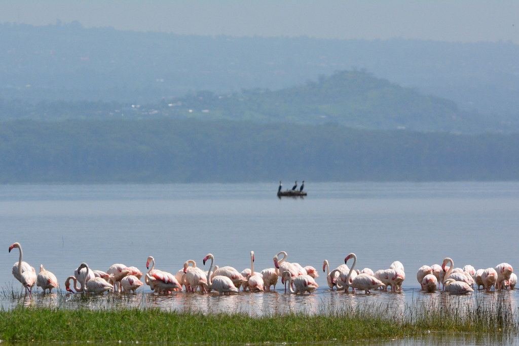 Top Kenya Uganda Tours 2025