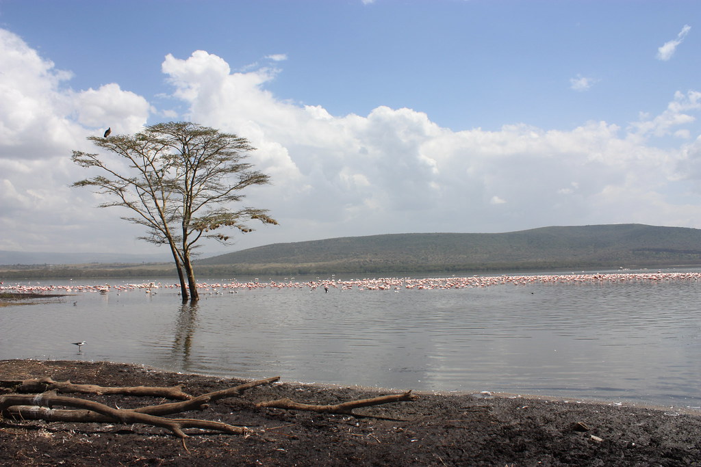 Best East Africa Tours and Safaris – Explore the Wild Heart of Africa