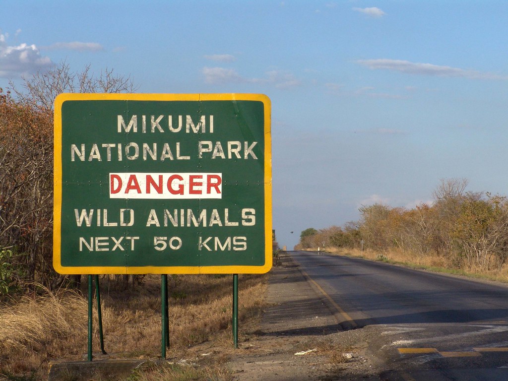 Best Tanzania Wildlife Safari Parks – Discover the Heart of African Wilderness