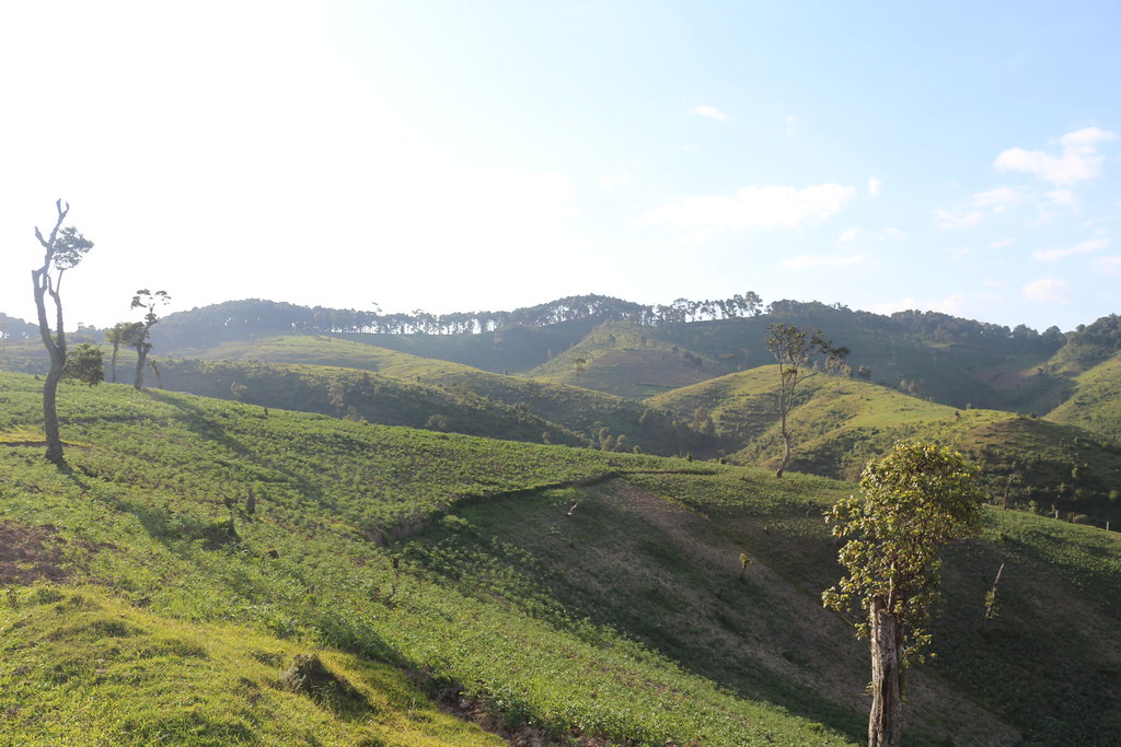 Gishwati–Mukura National Park Rwanda – The Newest Jewel of Rwanda’s Forests