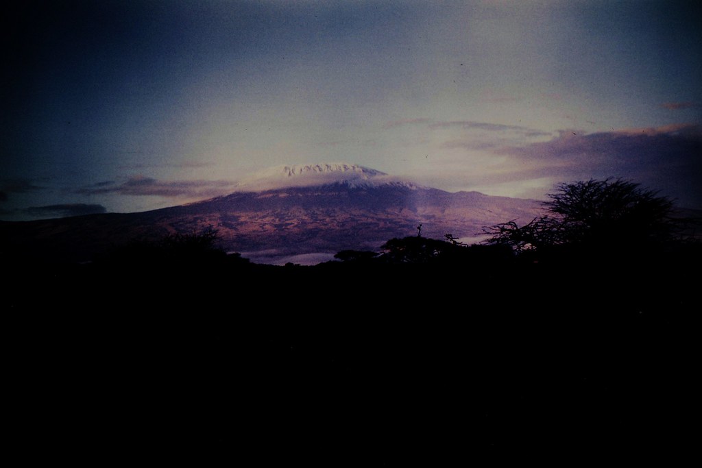 5 Best Tanzania Tours 2025