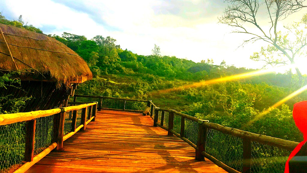 Nature Walk Safaris in Kenya