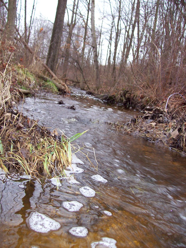 Nature Walks in Bigodi Wetland Sanctuary