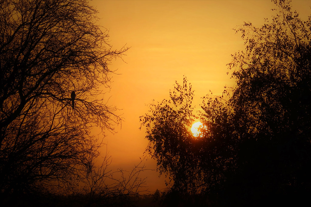 Activities in Tarangire National Park – Tanzania Safaris