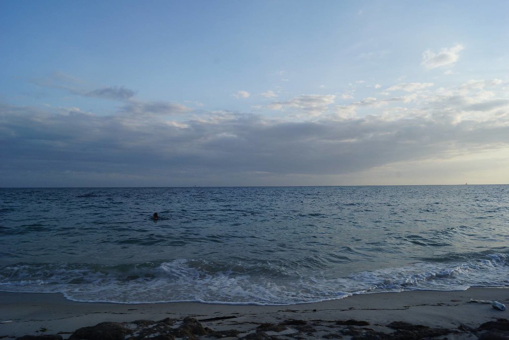 Nyerere Safari Tours – Discover Tanzania’s Untamed Southern Wilderness