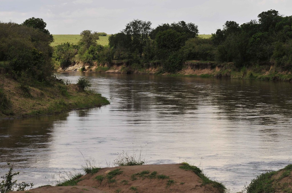 5 Days Lake Nakuru & Masai Mara Safari – Short Affordable Kenya Tour