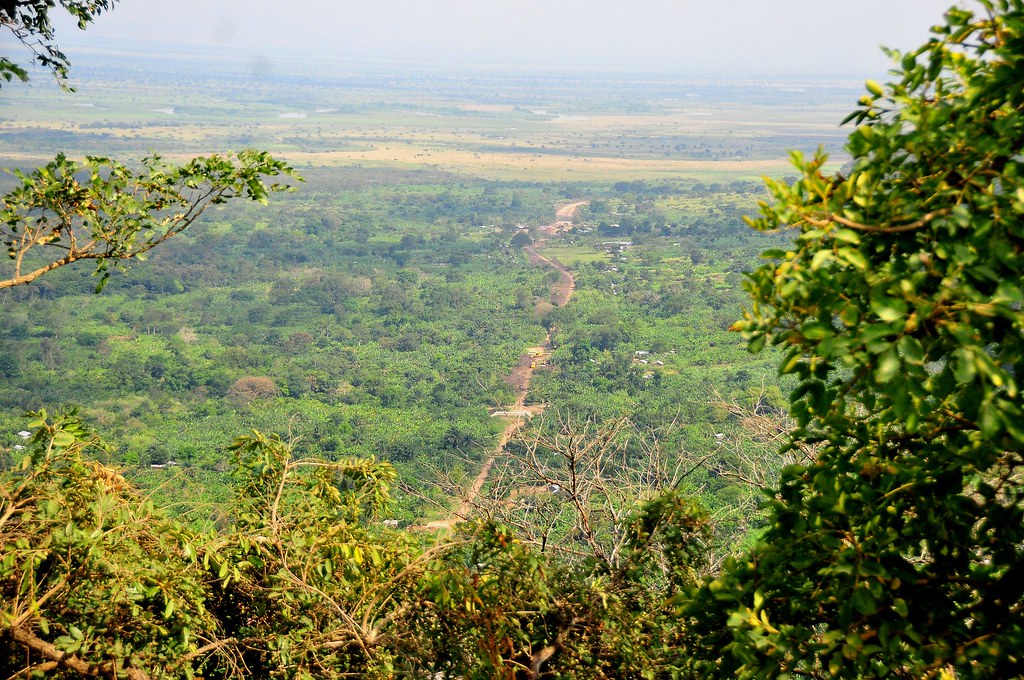 Top Uganda Wildlife Safaris – Best Game Drive Destinations