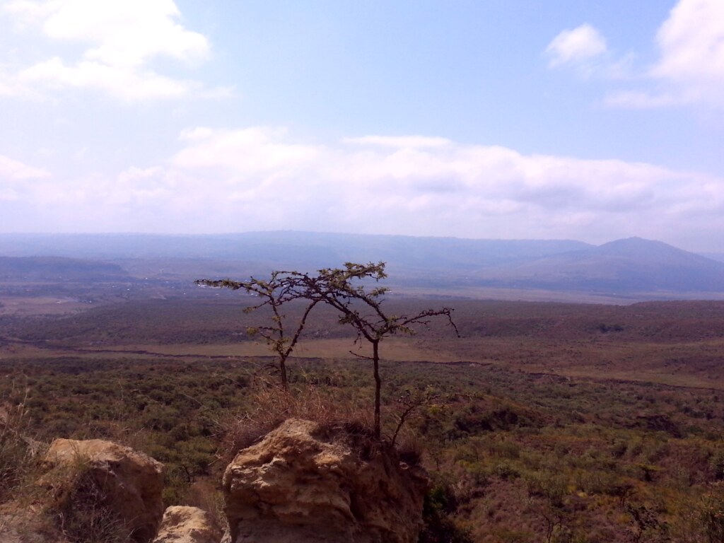 Things to Do in Kenya on a Budget