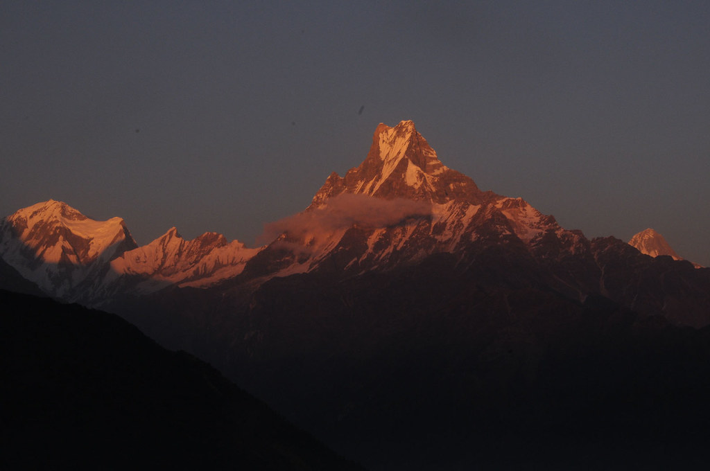 2025 High Season Best Safari Packages – Uganda Safari Itineraries