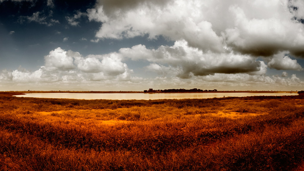 Tsavo East vs Tsavo West – A Complete Guide to Kenya’s Twin Safari Parks