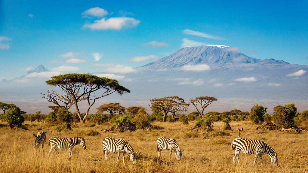 Big Five Safari Adventures in Amboseli National Park