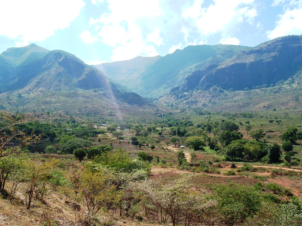 Spend Christmas with Mountain Gorillas in Bwindi
