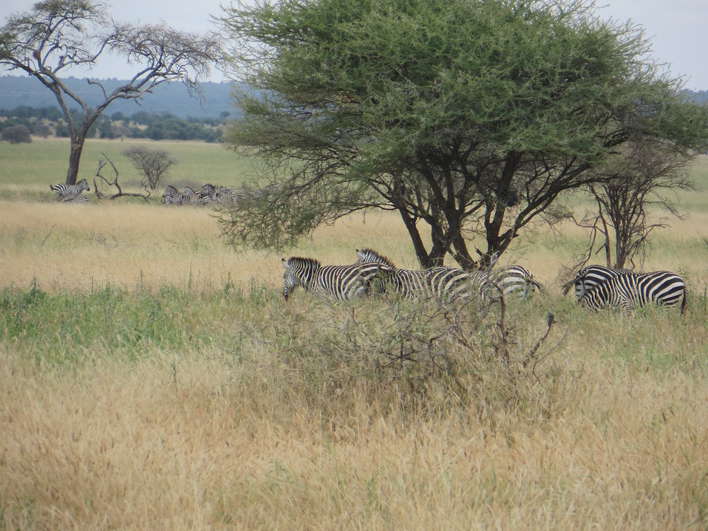 Adventure Trekking Packages for Couples in Gahinga