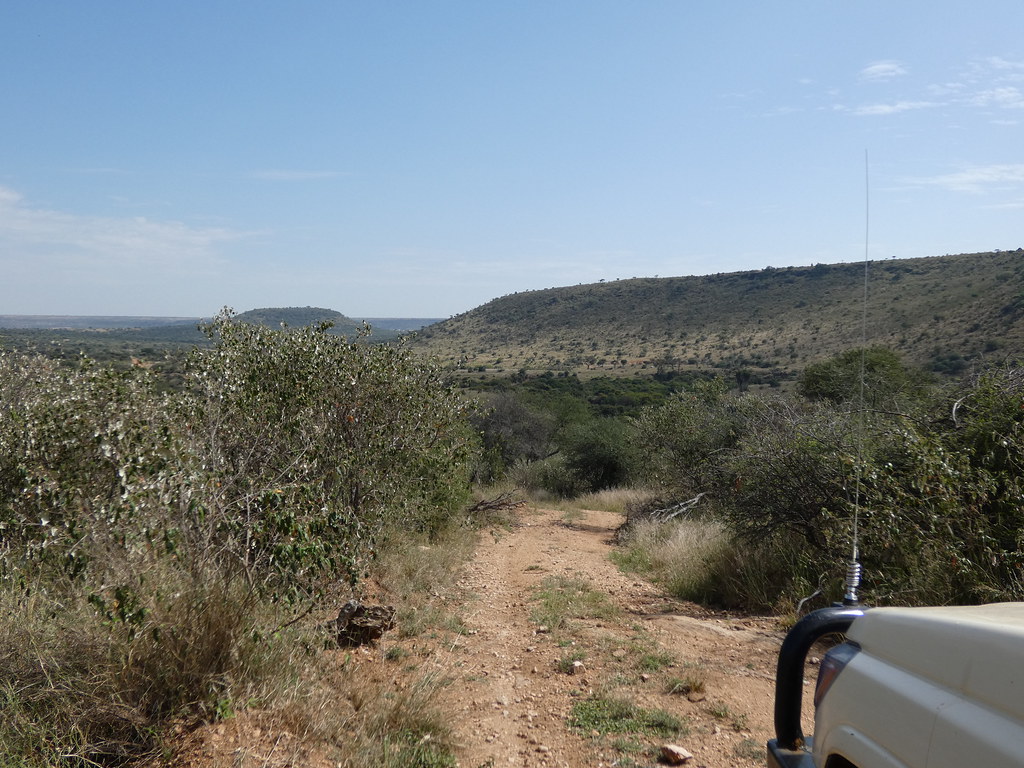 Why Laikipia Is Ideal for Ultra‑Luxury Safari Experiences