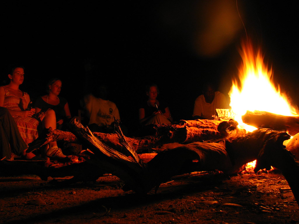 Why Safaris Are the Ultimate Valentine’s Day Adventure