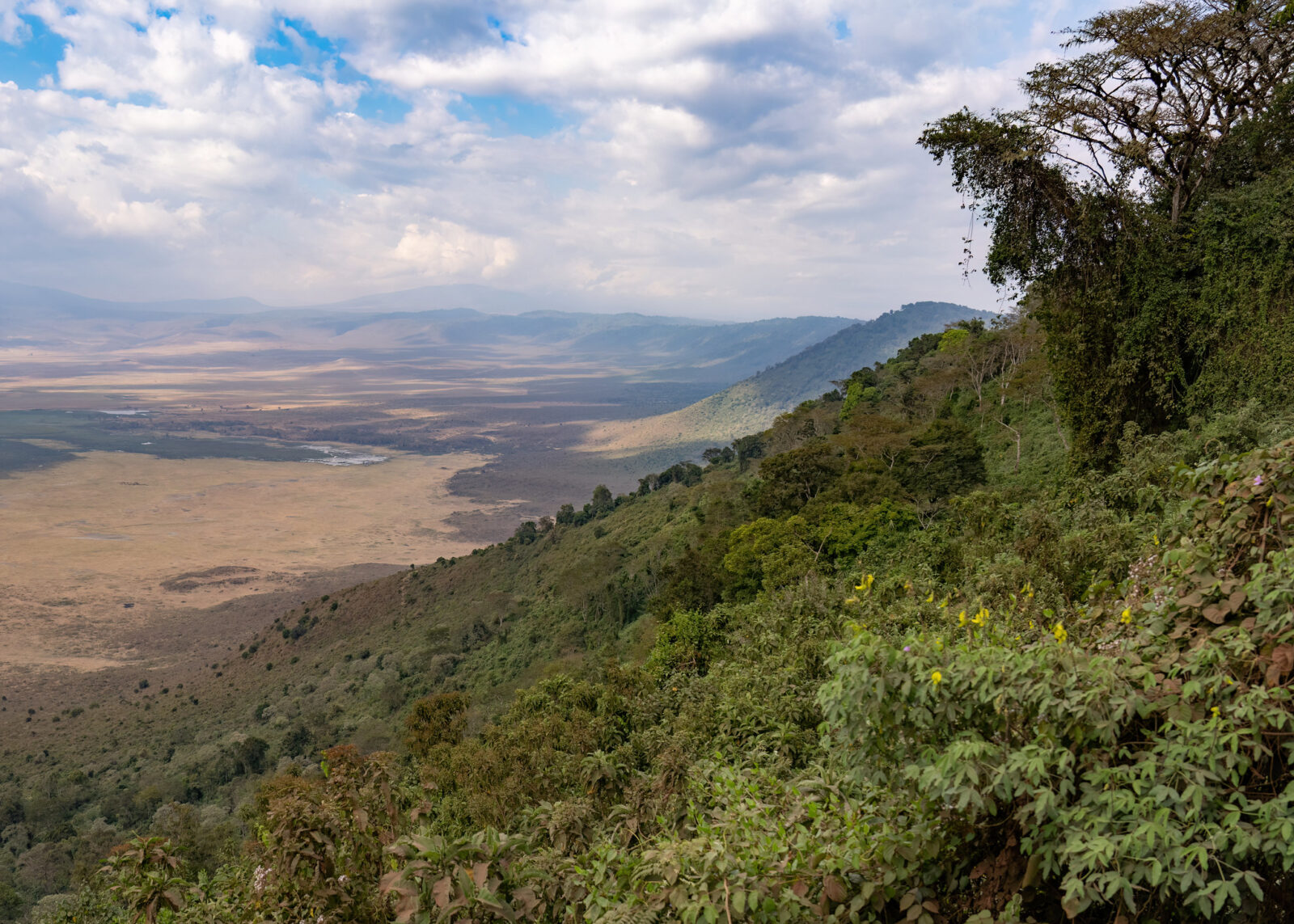 Ngorongoro Crater Safari Tips for Wildlife Lovers