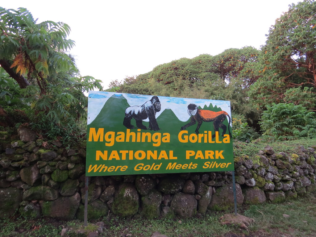 Multi-Day Mgahinga Hiking and Wildlife Safari Tours
