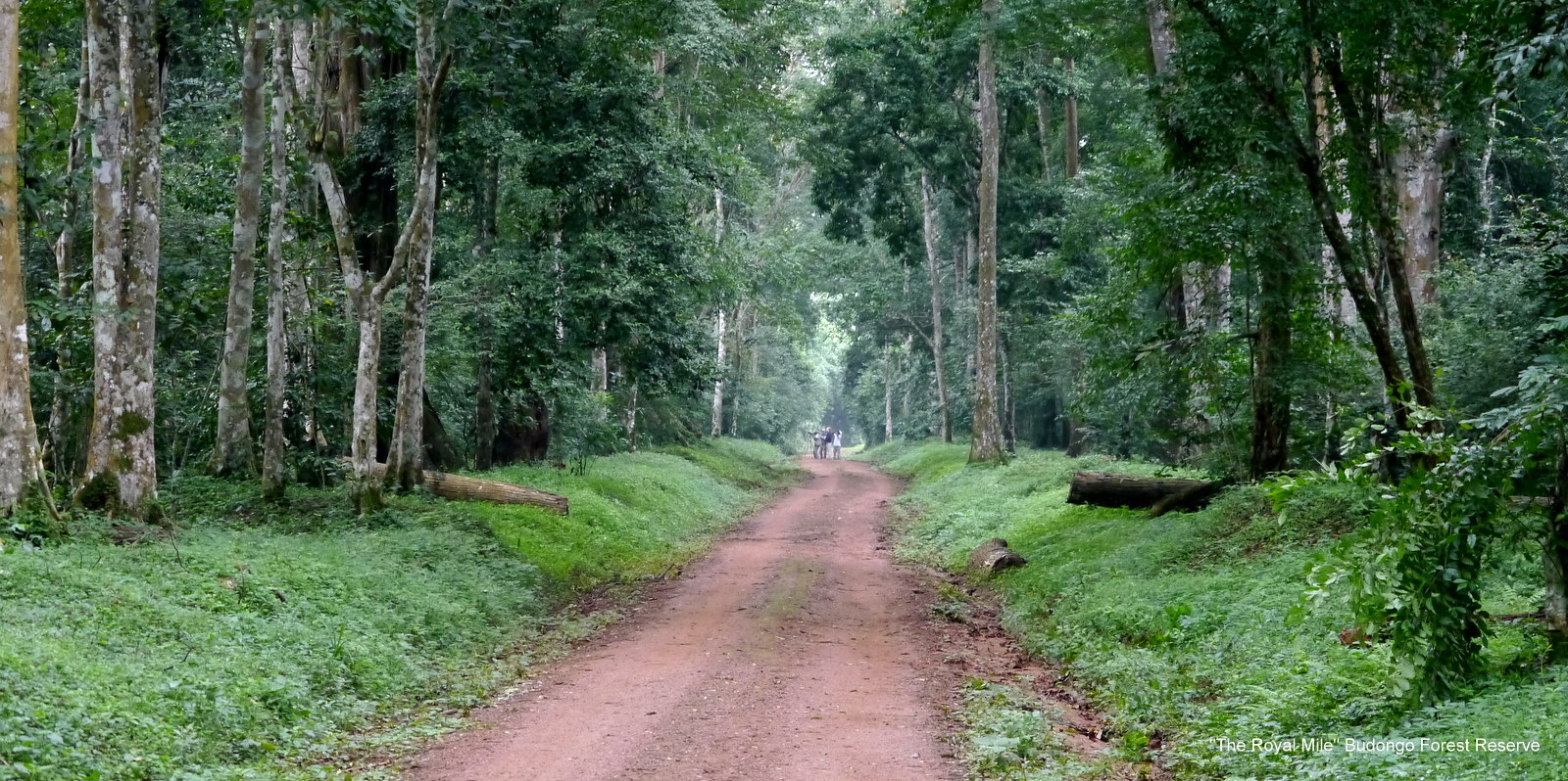 Why the Conflict Between the United States, Iran, and Israel Exists 