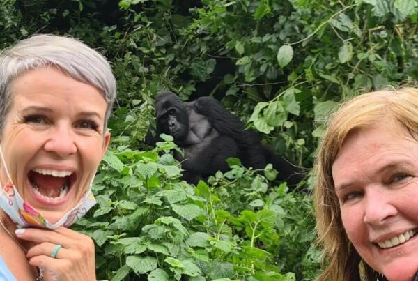 February Gorilla Safari