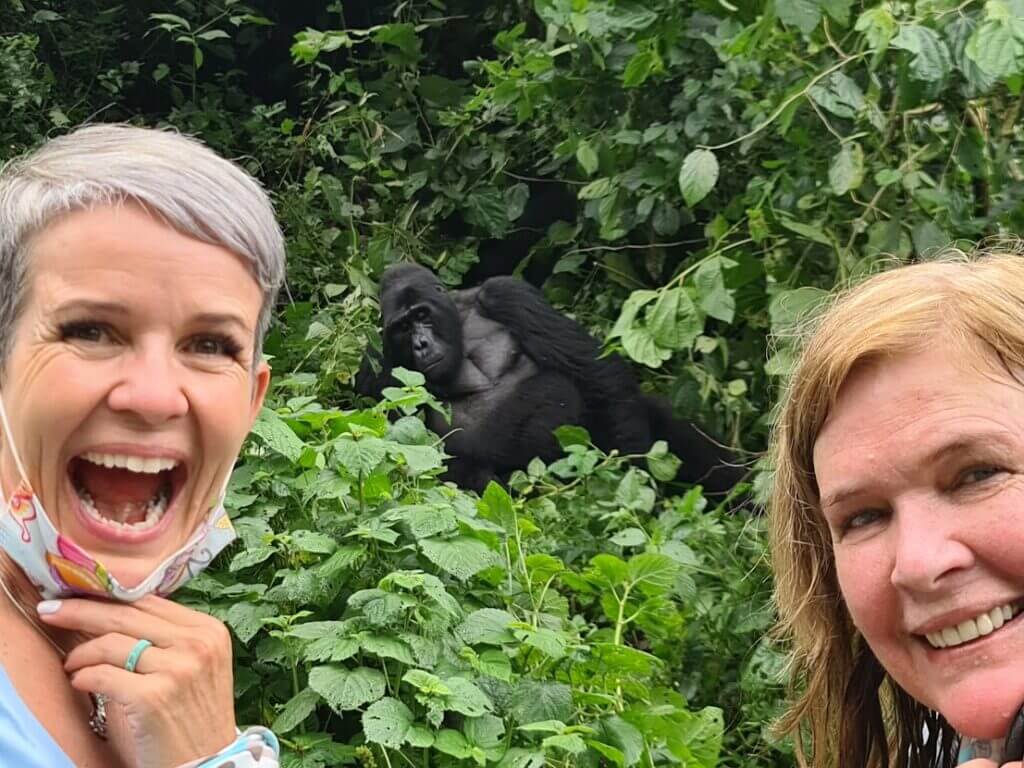 Gorilla Safaris February